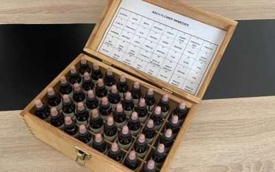 A cosa servono i Fiori di Bach