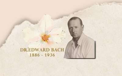 Come agiscono i Fiori di Bach?