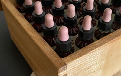 I Fiori di Bach possono avere controindicazioni o effetti collaterali, allergie, dipendenza?